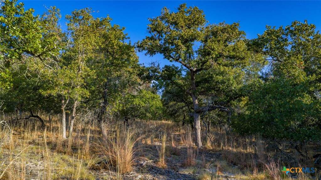 Tract 17 & 18 Sandstone Ln, Seguin, TX 78155 - More
