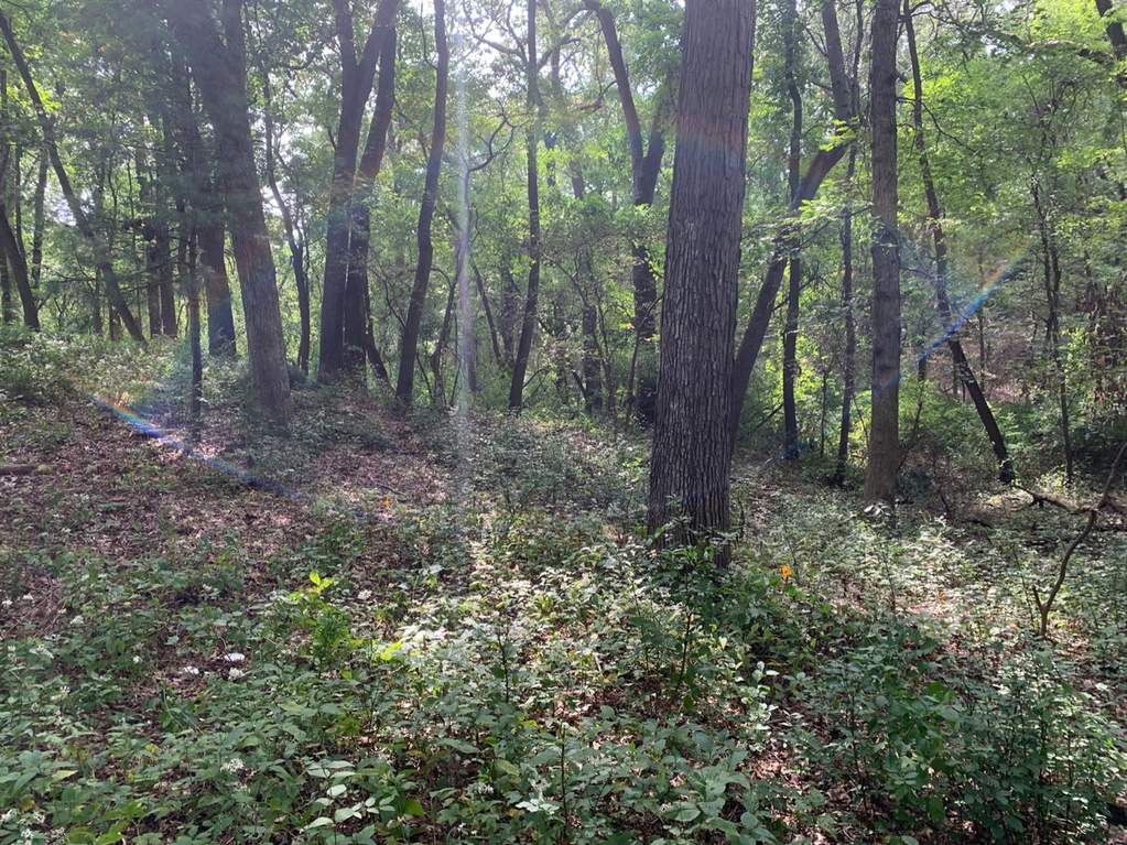 7 Fern Lane, Dune Acres, IN 46304 MLS 463394 properties NW Indiana