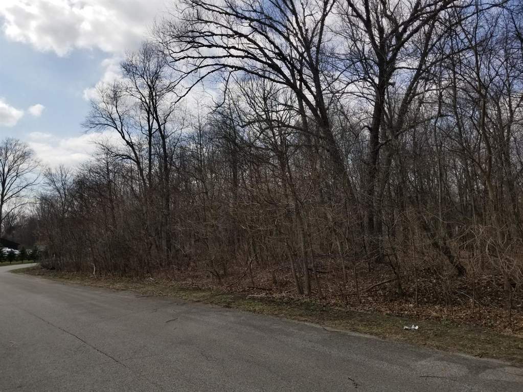 0 Potomac Drive, Demotte, IN 46310 MLS 472773 properties NW Indiana