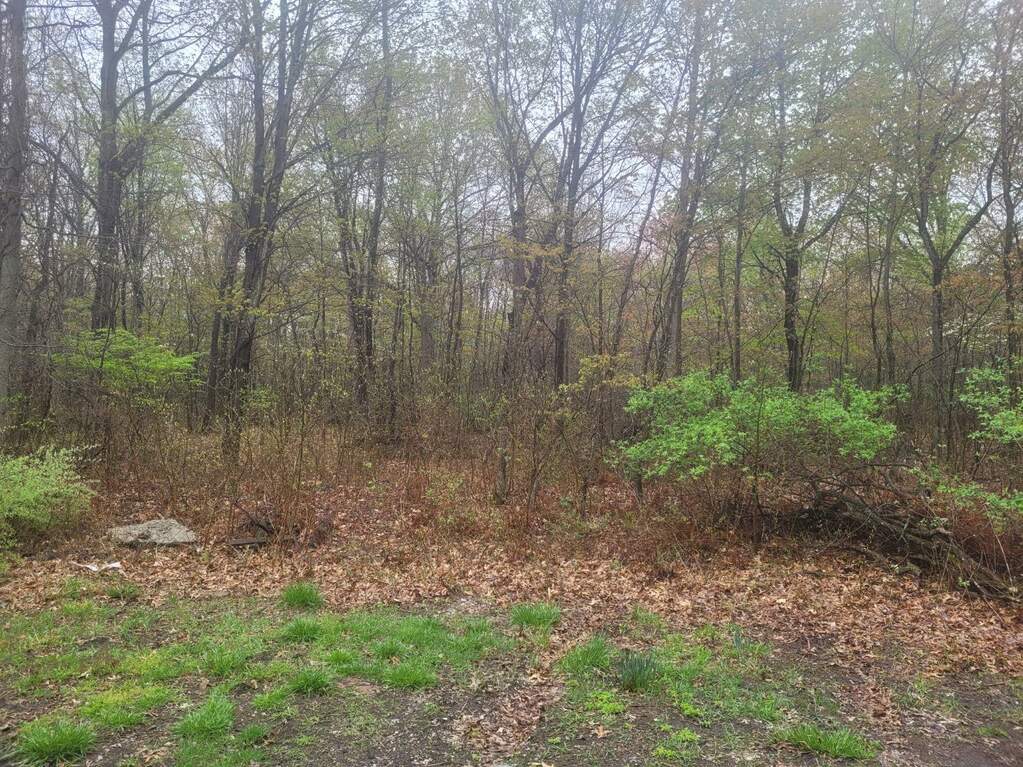 0 Birchwood Trail, Michigan City, IN 46360 MLS 529684 properties