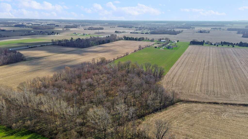 56803 Tulip Road, New Carlisle, IN 46552 - View 6