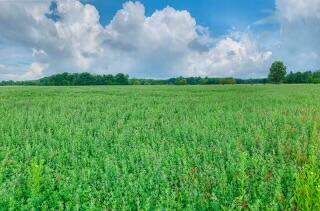 56803 Tulip Road, New Carlisle, IN 46552 - More