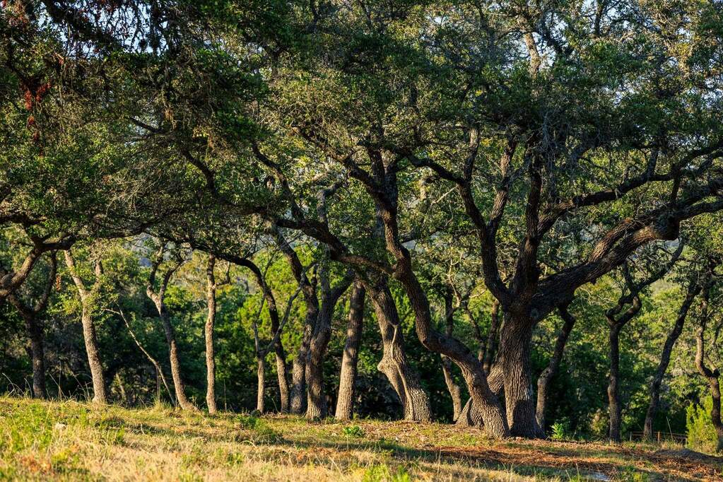 100 Delaware Creek Road, Blanco, TX 78606 MLS 165163 properties