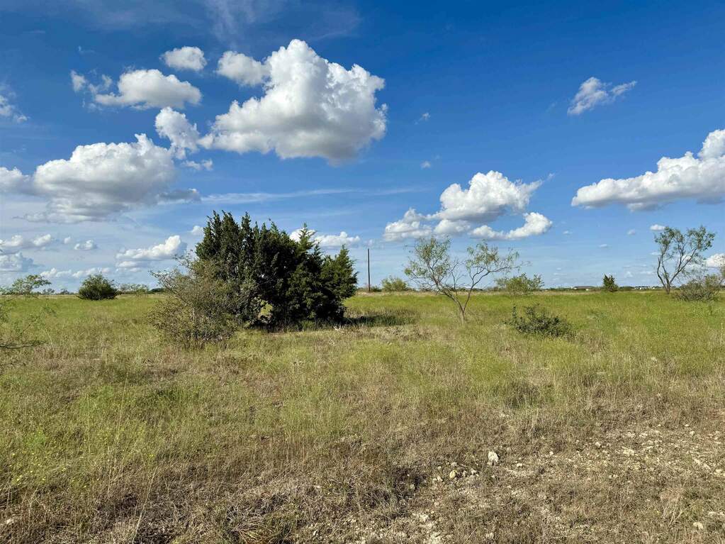 1020 927 Cr 279, Bertram, TX 78605 MLS 166236 properties Dallas