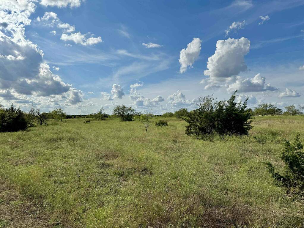 1020 927 Cr 279, Bertram, TX 78605 MLS 166236 properties Dallas