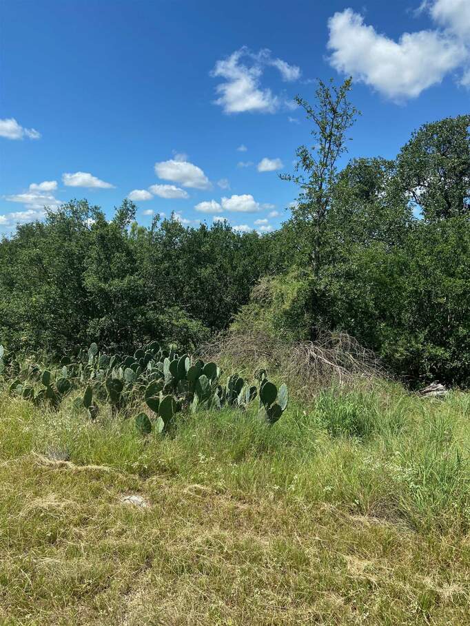 lot 158 N. Blue Ridge Trail, Horseshoe Bay, TX 78657 MLS 169319 properties Lonestar