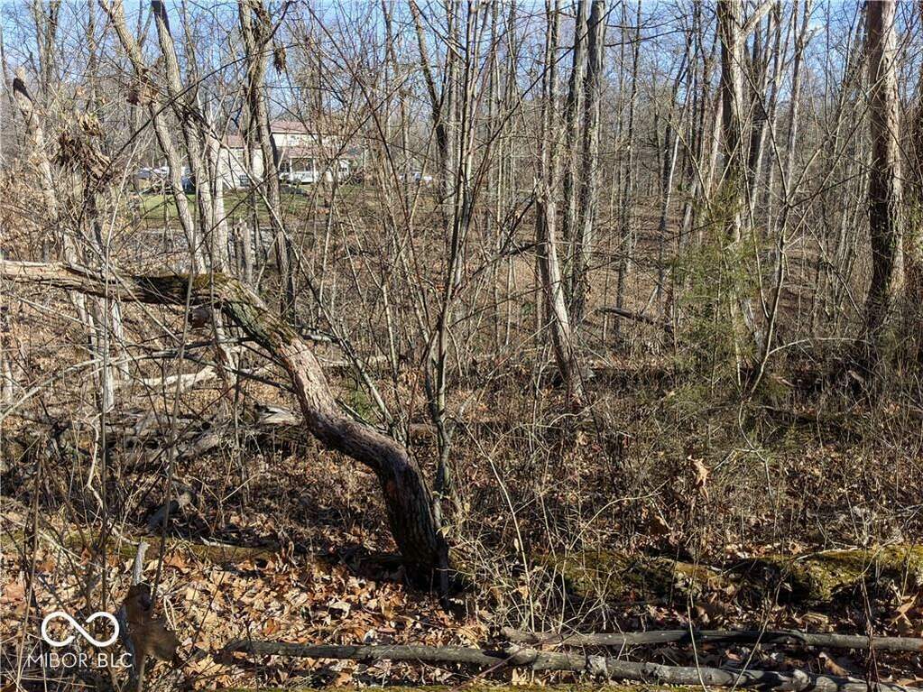 00 Gazelle Drive, Nineveh, IN 46164 MLS 21911776 properties Indy