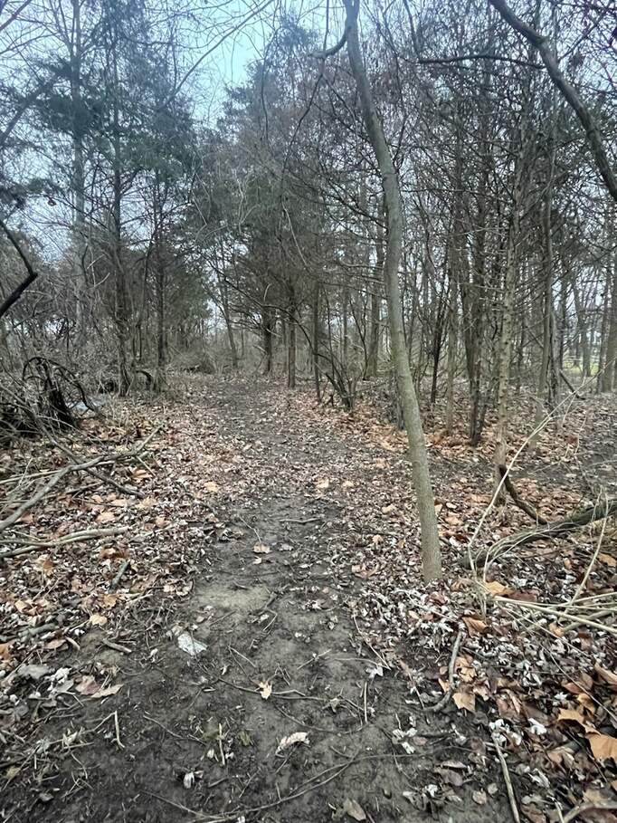 665 Mill Springs, Coatesville, IN 46121 MLS 21957787 properties Indy