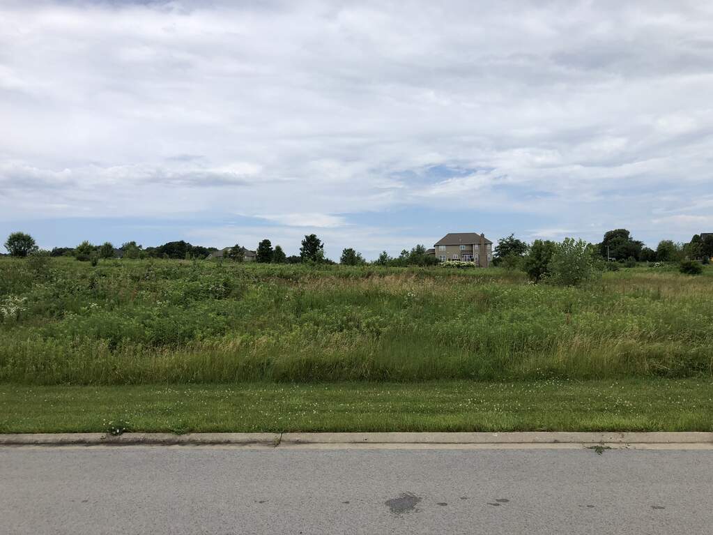 4569 Cherry Road, Oswego, IL 60543 MLS 10436767 properties