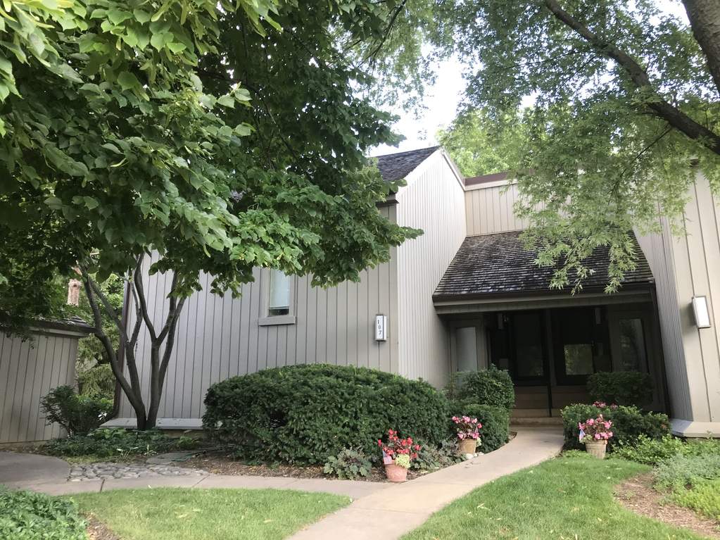107 Foxwood Lane C, Lake Barrington, IL 60010 MLS 10884133