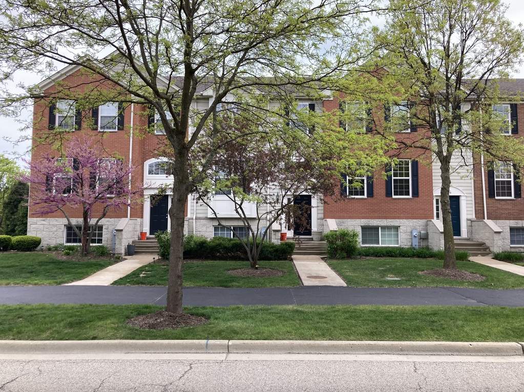 202 Comstock Drive, Elgin, IL 60124 MLS 11090344 properties