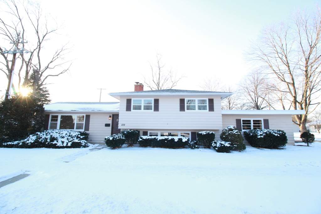 232 Tamarack Avenue, Naperville, IL 60540 MLS 11299799 properties