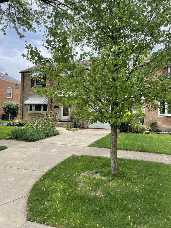 3022 Elder Lane, Franklin Park, IL 60131 MLS 11410148 properties Chicagoland