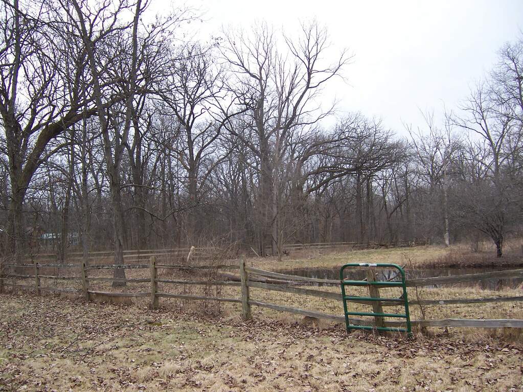 33W456 Woodmere Lane, Wayne, IL 60184 MLS 11730903 properties