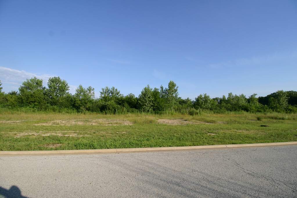 1402 apx W Exchange Street, Crete, IL 60417 MLS 11813455