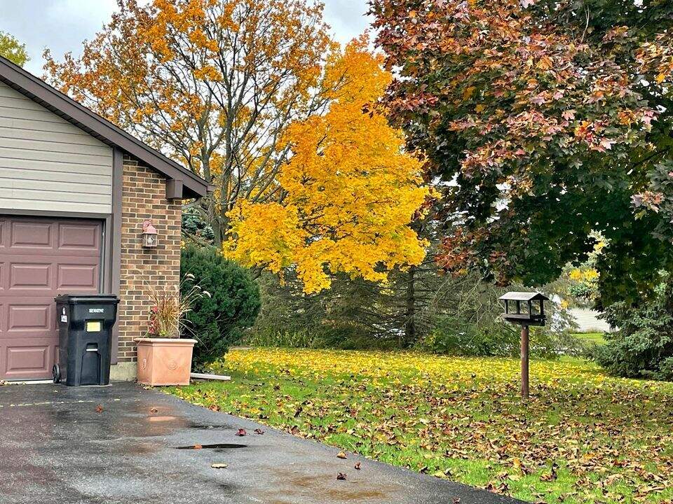 1515 Cobblestone Court, Johnsburg, IL 60051 MLS 11930841 properties Chicagoland