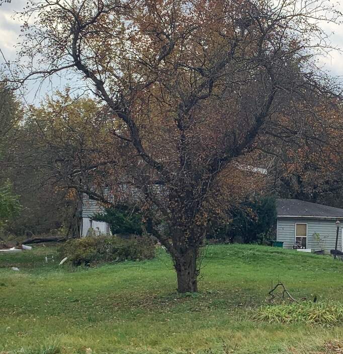 6050 Gun Club Road, Morris, IL 60450 MLS 11950731 properties