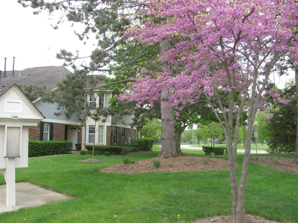 143 Lawn Court Buffalo Grove IL 60089 MLS# 12008378 properties