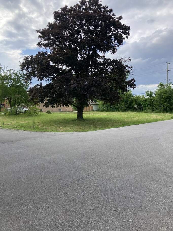 3804 W 115th Place, Garden Homes, IL 60803 MLS 12066800 properties Chicagoland