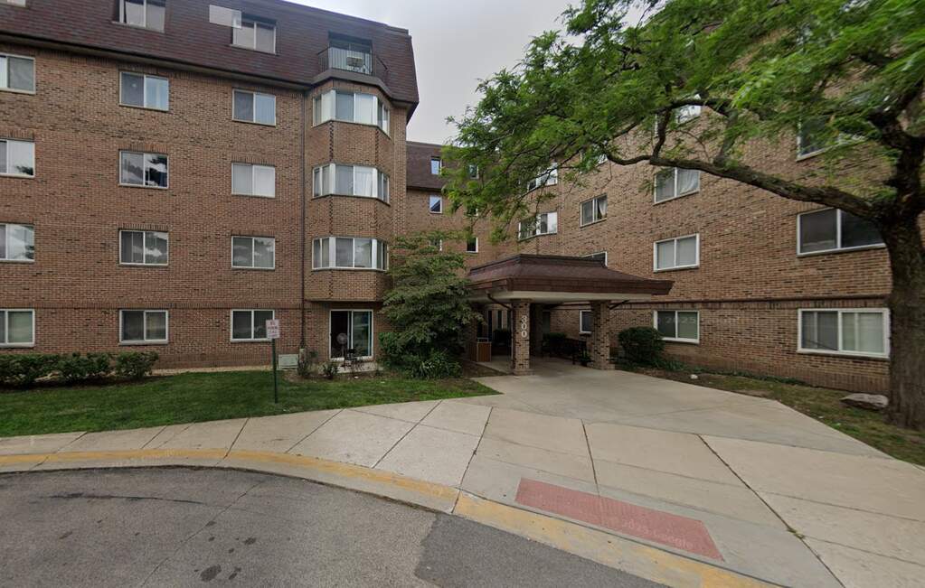 300 S Roselle Road #519