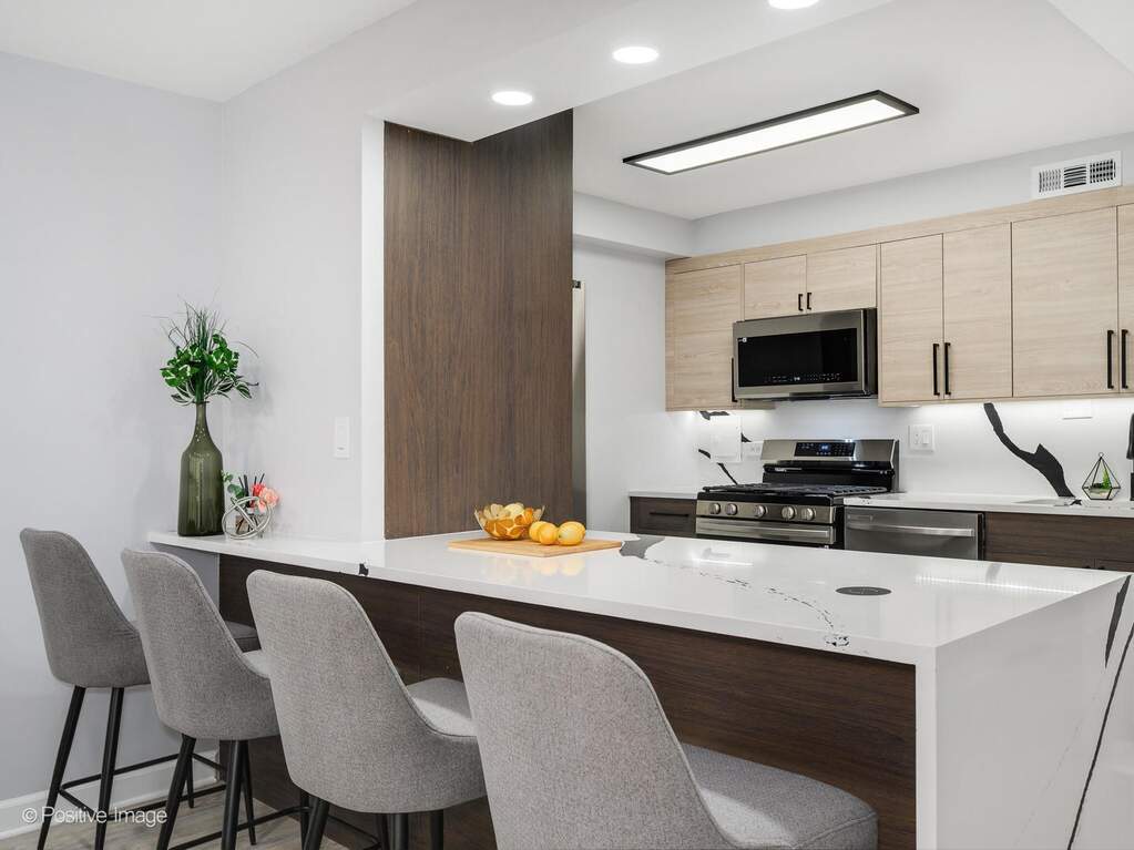 3950 N Lake Shore Drive #1224, Chicago, IL 60613 - View 4