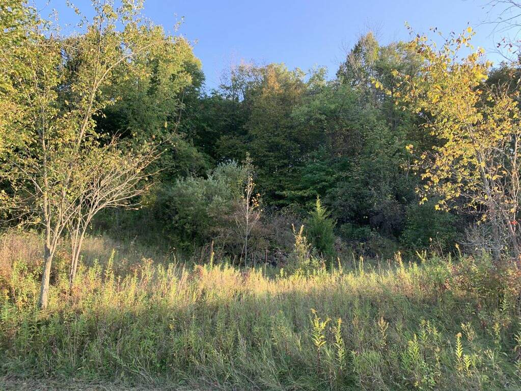 Lt34 Hickory Dr, Glenbeulah, WI 53023 MLS 1861605 properties SE