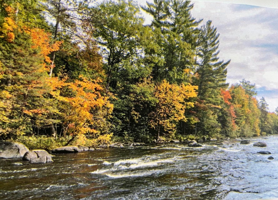 Lt8 Upper Roaring Rapids Ln