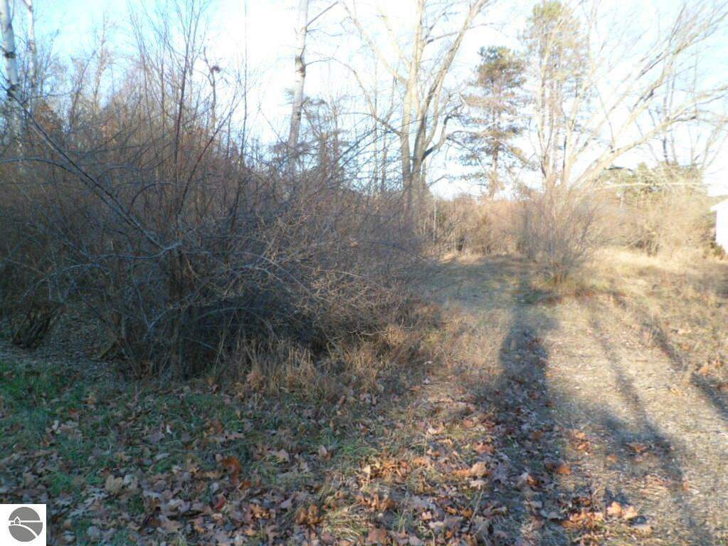 1012 Marietta Street, Lake Isabella, MI 48893 MLS 1918195