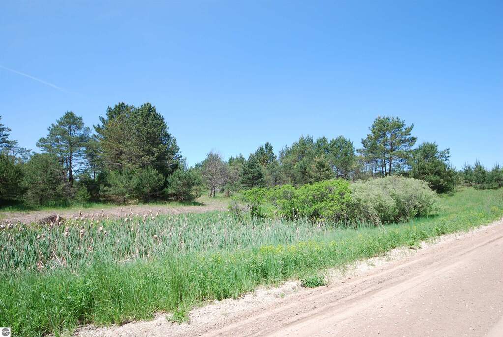 Parcel 4 Se Riley Road, Kalkaska, MI 49646 MLS 1922305