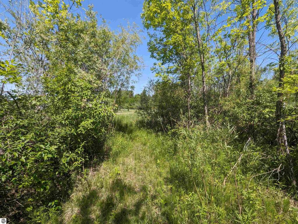 N/A Santiago Road, Au Gres, MI 48703 MLS 1922787 properties REMI