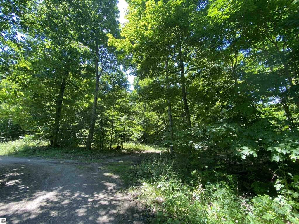 S Benzonia Trail, Empire, MI 49630 MLS 1924045 properties REMI