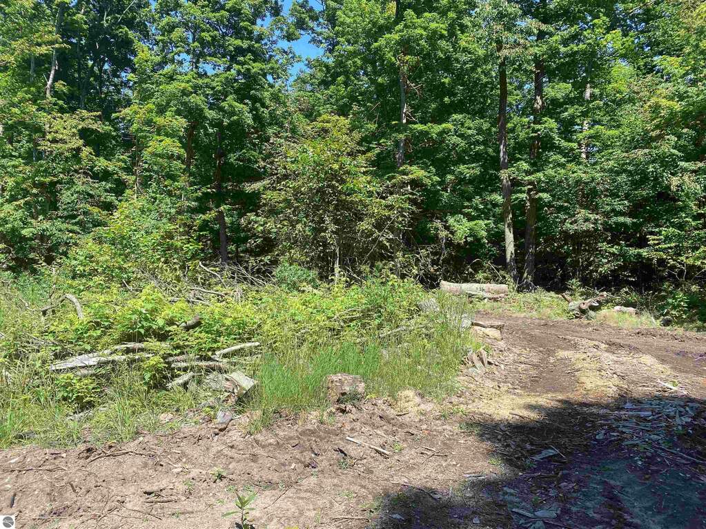 S Benzonia Trail, Empire, MI 49630 MLS 1924045 properties REMI