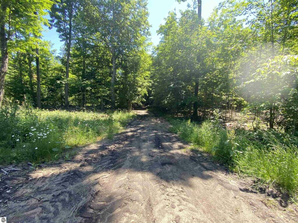 S Benzonia Trail, Empire, MI 49630 MLS 1924045 properties REMI