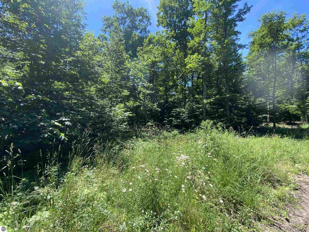 S Benzonia Trail, Empire, MI 49630 MLS 1924045 properties REMI