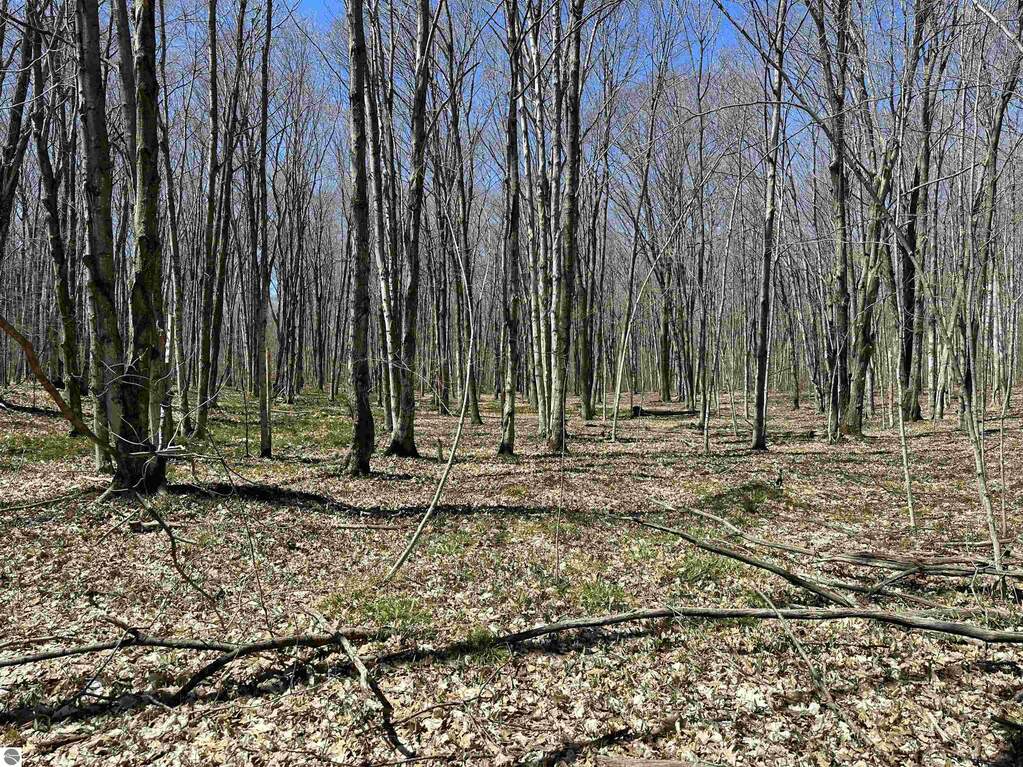 TBD Beaver Island Road, Beaver Island, MI 49782 - View 3