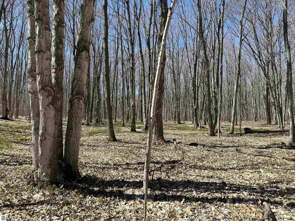 TBD Beaver Island Road, Beaver Island, MI 49782 - View 4