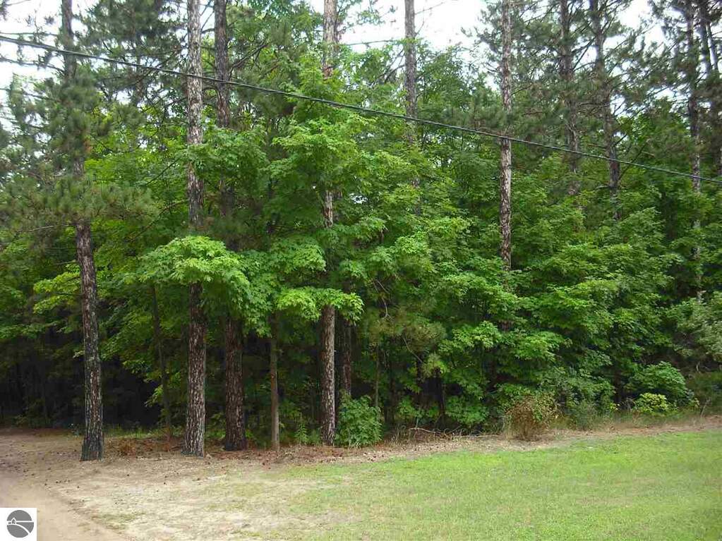 Parcel F3A Jackson Creek Road, Kingsley, MI 49649, Kingsley