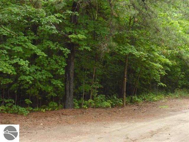 Parcel F4 Jackson Creek Road, Kingsley, MI 49649, Kingsley