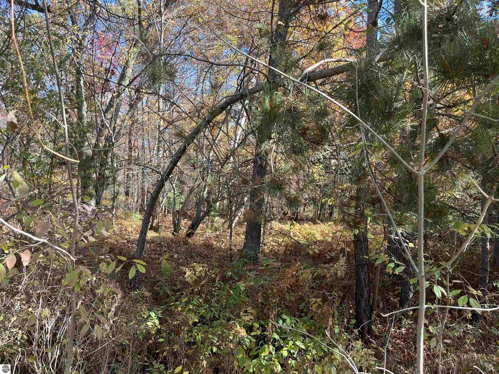 NKA Husak Road, Omer, MI 48749 - View 2