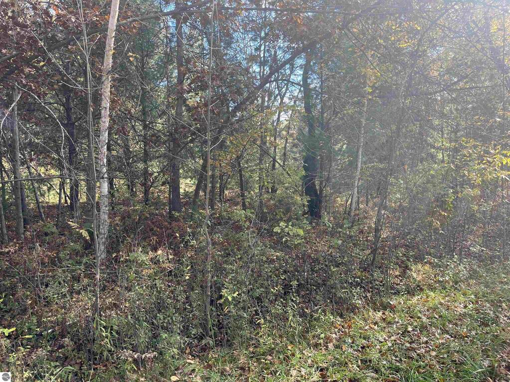 NKA Husak Road, Omer, MI 48749 - View 3