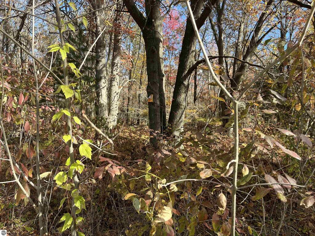 NKA Husak Road, Omer, MI 48749 - View 4