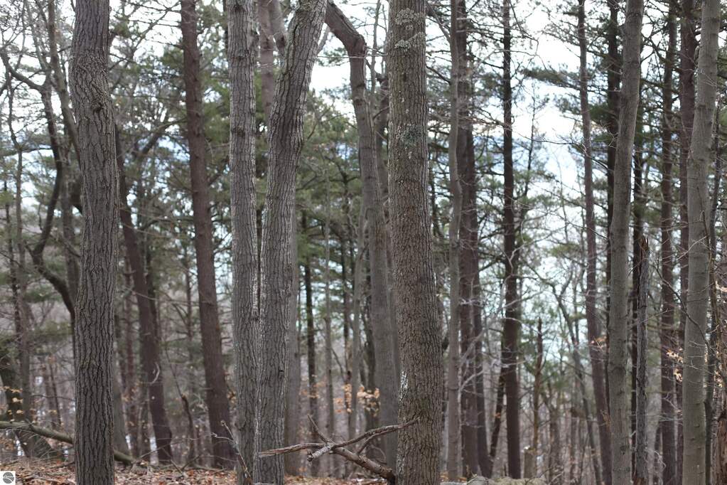 lot 5 Crystal View Commons, Beulah, MI 49617 - View 2
