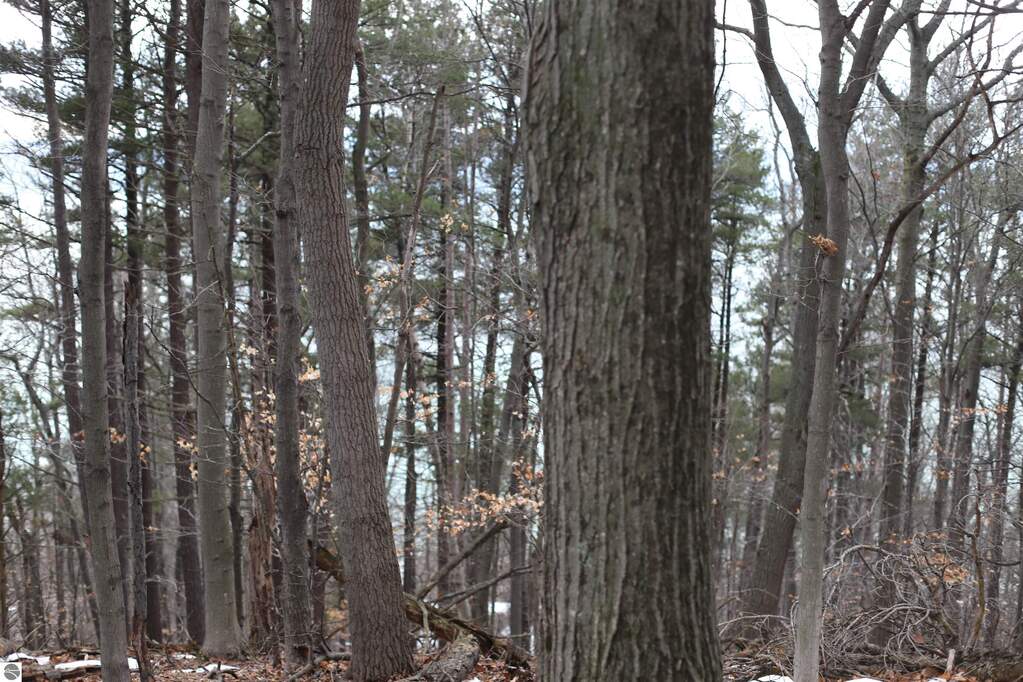 lot 5 Crystal View Commons, Beulah, MI 49617 - View 3
