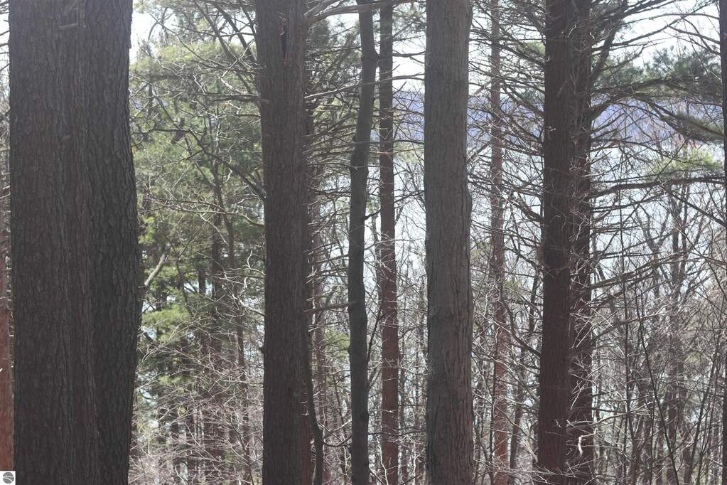 lot 5 Crystal View Commons, Beulah, MI 49617 - View 4