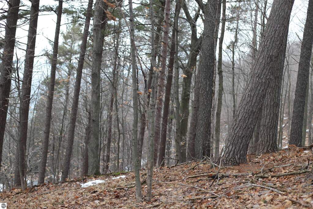 lot 5 Crystal View Commons, Beulah, MI 49617 - More