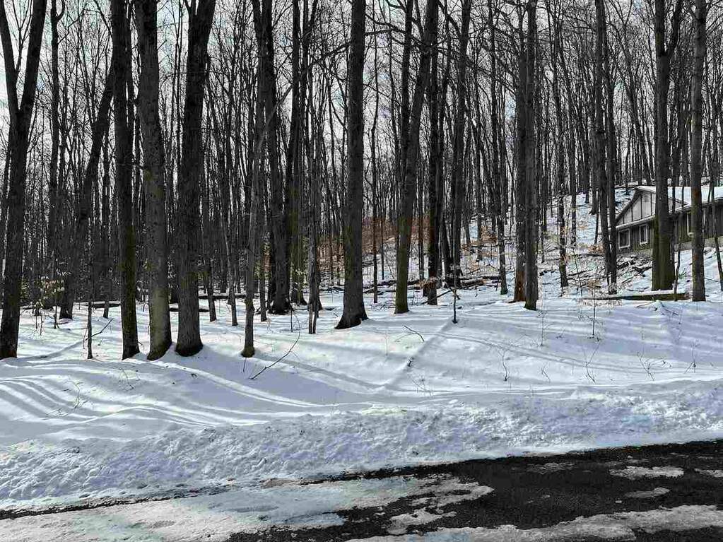 Lot 51 Val D'isere Drive 51, Bellaire, MI 49615 MLS 473134