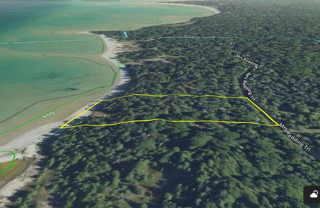 32010 Mrs. Redding's Trail, Beaver Island, MI 49782 - View 4