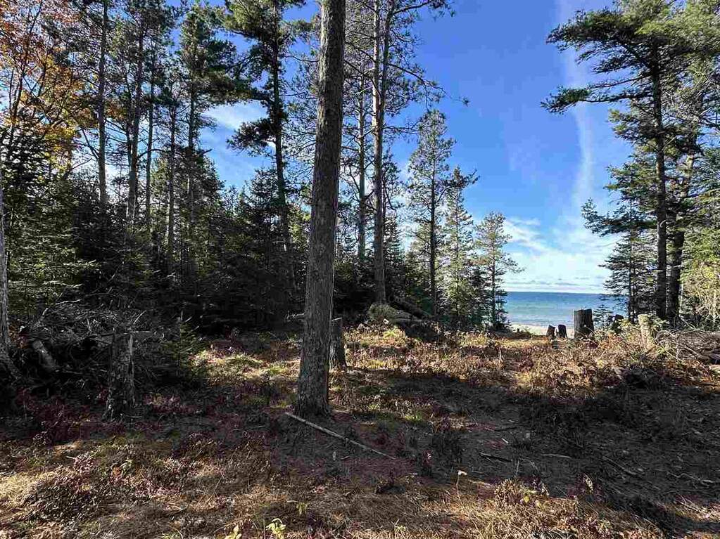 32010 Mrs. Redding's Trail, Beaver Island, MI 49782 - View 5