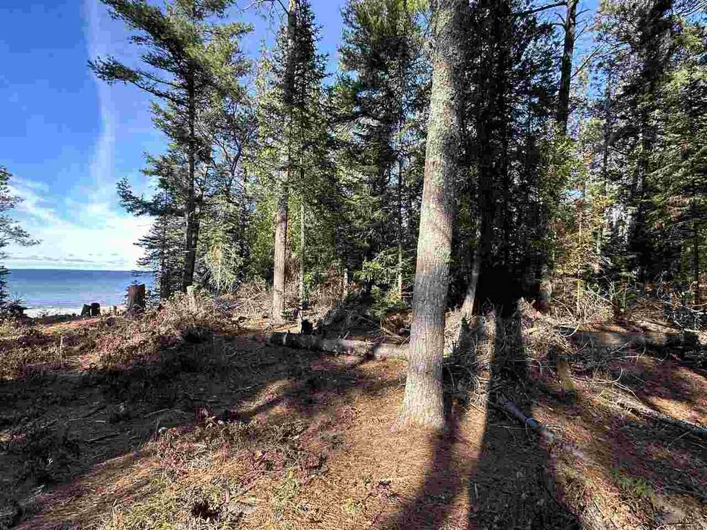 32010 Mrs. Redding's Trail, Beaver Island, MI 49782 - View 6