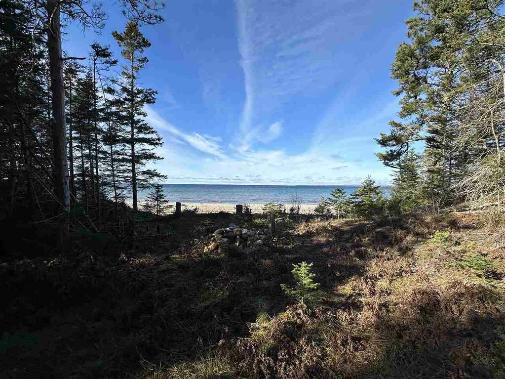 32010 Mrs. Redding's Trail, Beaver Island, MI 49782 - More